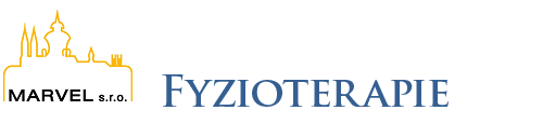 Řešíme bolestivé stavy hybného systému, poúrazové a pooperační stavy a prevenci potíží pohybového aparátu